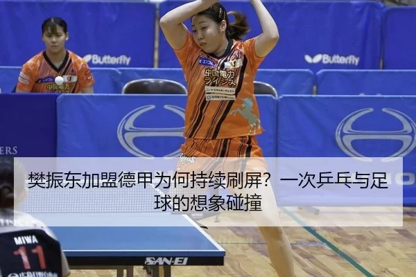 fan-zhen-dong-jia-meng-de-jia-wei-he-chi-xu-shua-ping-yi-ci-ping-pang-yu-zu-qiu-de-xiang-xiang-peng-zhuang-2-741.jpg