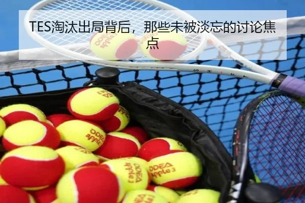 TES淘汰出局背后，那些未被淡忘的讨论焦点